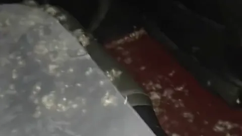 从失败配件到千亿帝国：Pokmon的成功之路