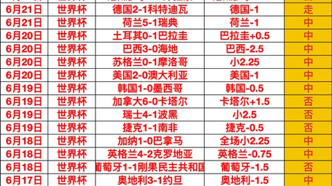 2026年美加墨世界杯 121022 17