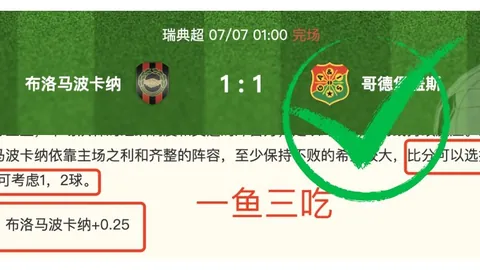 2026年美加墨世界杯 123156