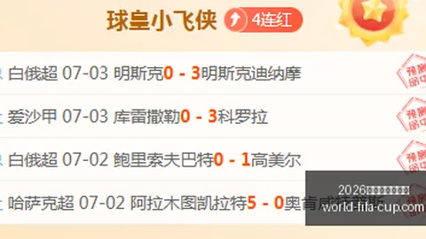 2026年美加墨世界杯 124557 9