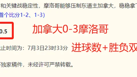 2026年美加墨世界杯 124812 9