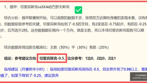 2026年美加墨世界杯 130231 437