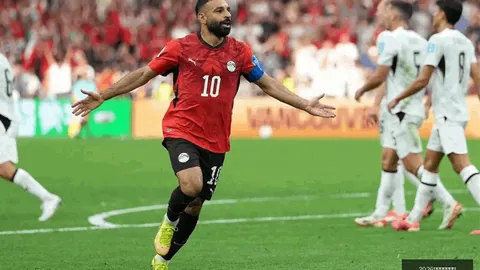 2026年美加墨世界杯